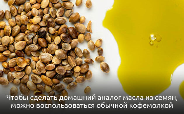 Приготовление конопляного масла в домашних условиях