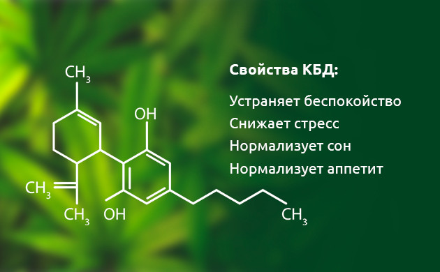 Свойства каннабидиола