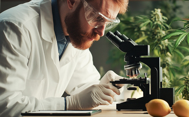 Исследования терпенов и лимонена