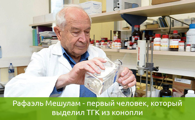 Рафаэль Мешулам