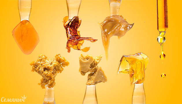 Концентраты конопли