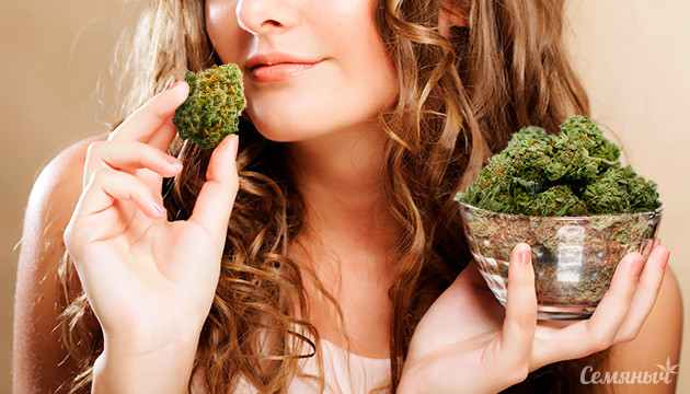 Сорт конопли для девушки