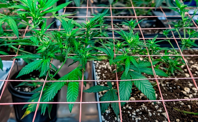 Горизонтальная поддержка с помощью сеток