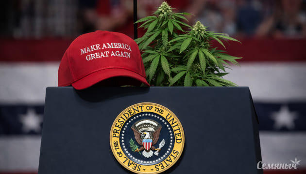 Важное событие в США для всей канна-индустрии От запрета к медицине: в США пересмотрели статус каннабиса