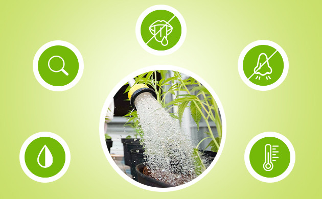 5 органолептических качеств воды