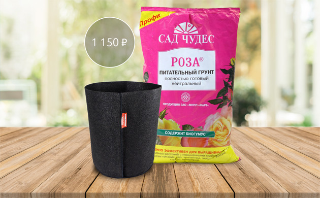 Грунт и горшок для выращивания конопли