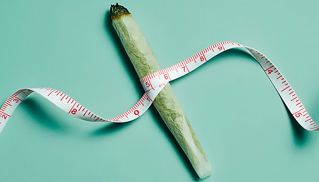 Влияние конопли на лишний вес