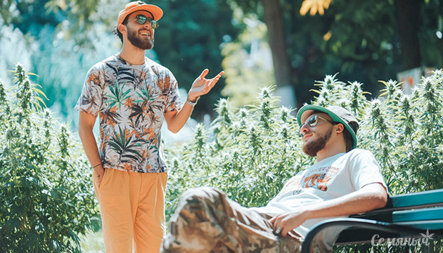 Как каннабис воздействует на разум и тело