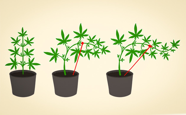 Наглядная инструкция метода LST