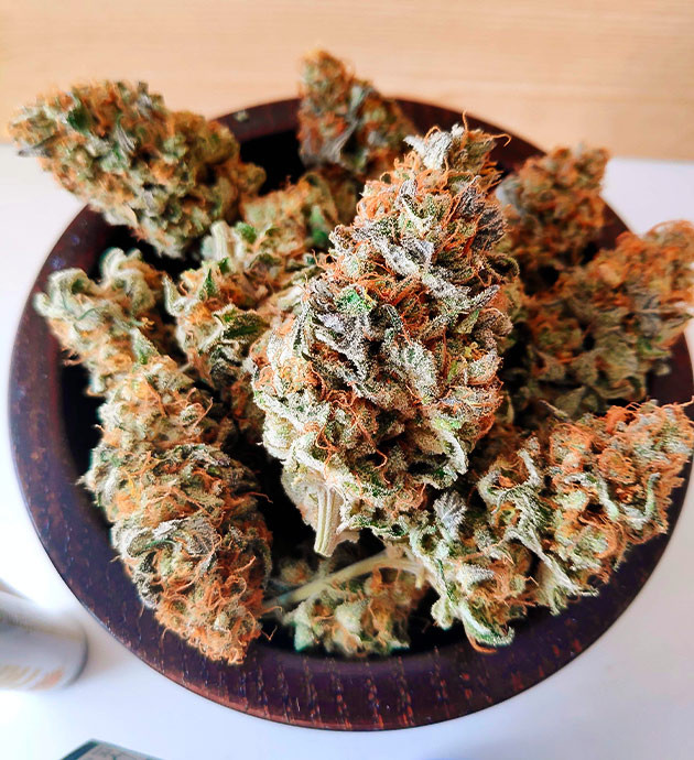 Полученный урожай Сухие шишки