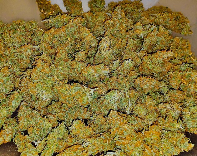 Харвест и общие впечатления