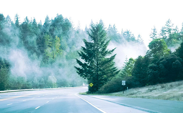 Последний день на ферме День 14. Отъезд