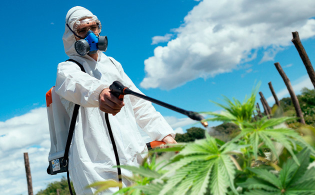 Что такое пестициды Для чего используются пестициды