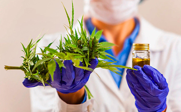 Экстрактор каннабиса