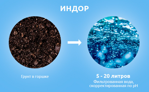 Количество воды для промывки грунта в индоре