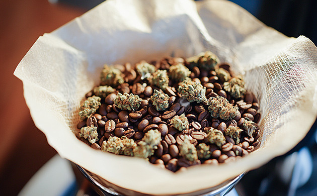 Кофейная гуща для нейтрализации Как использовать кофейную гущу?