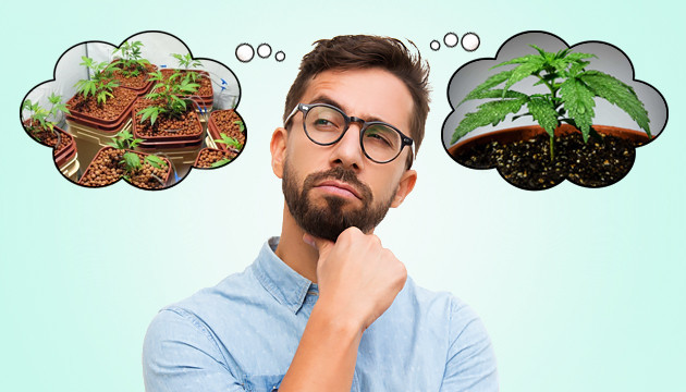 Подводим итоги