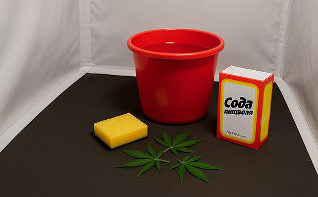 Пищевая сода и уксус для эффективной дезинфекции гроурума Пищевая сода для уборки гроубокса и защиты конопли от плесени