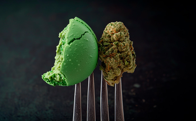 ТГК и перегрузка: почему перебор с дозой может быть опасен Излишки ТГК: что происходит, когда вы перебарщиваете