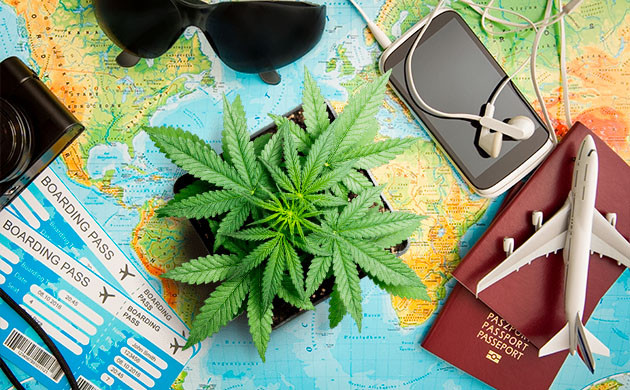 Развитие сферы канна-туризма Популяризация канна-туризма