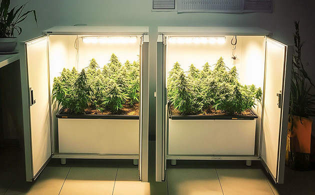 Гроубокс из шкафа и стелс-бокс из тумбочки или компьютерного корпуса Гроубокс из мебели