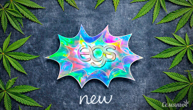 Новые автоцветущие сорта от Easy Grow Seeds Новые сорта от Easy Grow Seeds