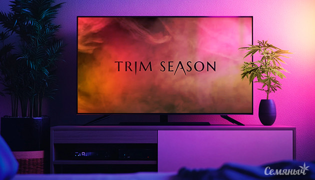 Трейлер фильма ужасов Trim Season Новый фильм ужасов про коноплю Trim Season