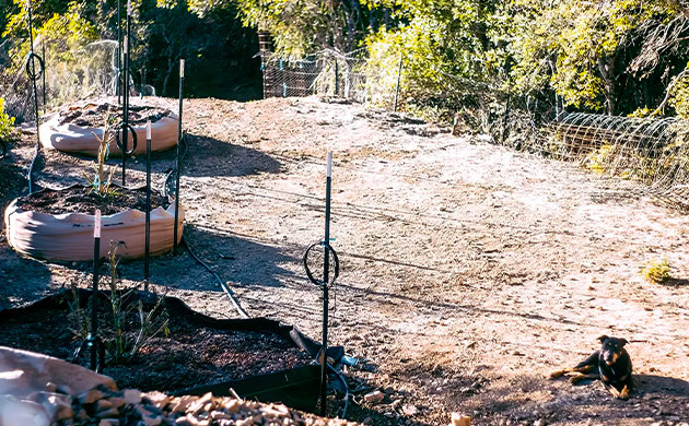 Выходной и экскурсия по местным фермам День 10. Выходной