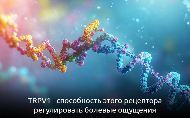 TRPV1 и лечение боли