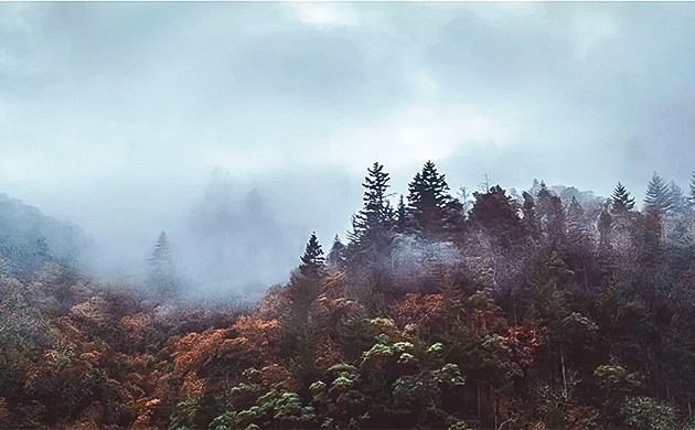 Удивительный вид из окна День 5. Результат – 400 грамм