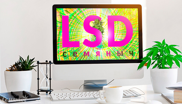 Гроурепорт сорта LSD fem от сидбанка Семяныч