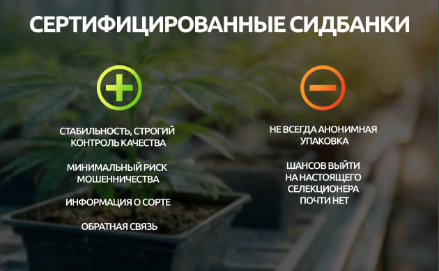 Сертифицированные сидбанки