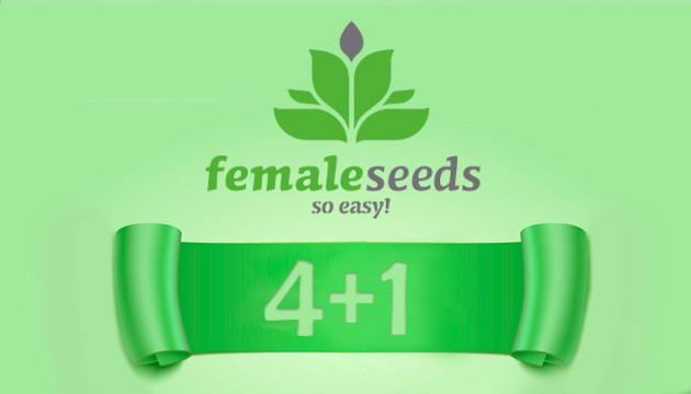Акция 4+1 от Female Seeds Акция от Female Seeds