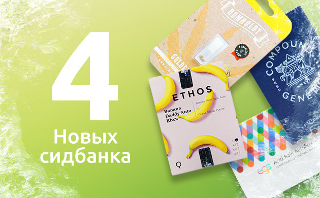 Ассортимент 2024 года