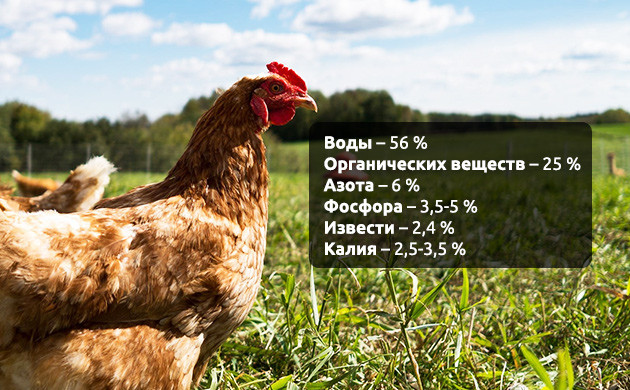 Состав куриного помета