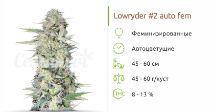 Lowryder #2 от Семяныча
