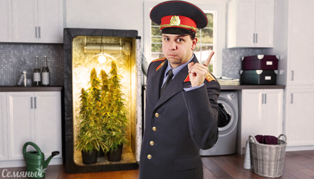 Полиция и марихуана