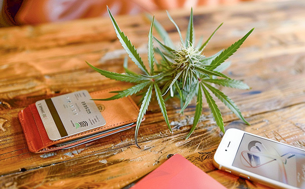 Кэшбэк, скидки и бонусные семена на GroverZ