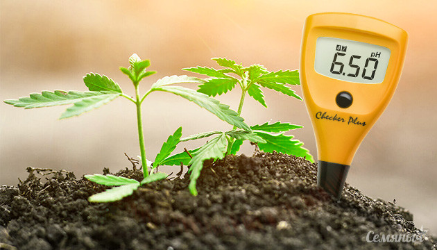 pH для каннабиса