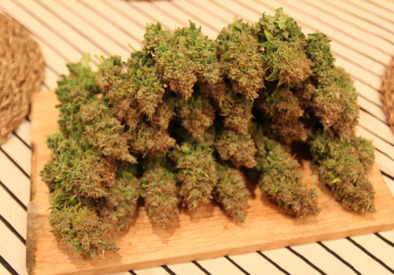 Урожай Jach Herer Собранный урожай с 1 куста Jack Herer