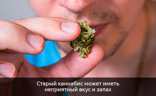 Вкус и аромат при хранении конопли Изменение вкуса и аромата конопли при хранении
