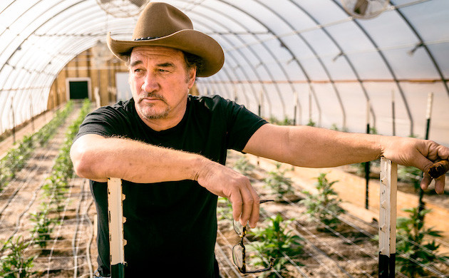 Фото Джеймса Белуши на собственной ферме по выращиванию каннабиса Любимое дело Джеймса Белуши