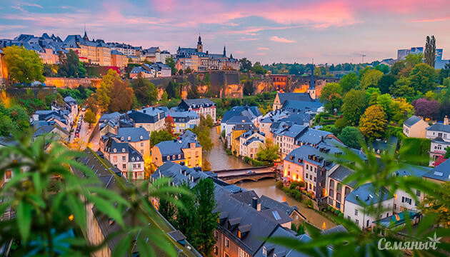 Как легализация повлияла на рынок каннабиса в Люксембурге Статистика употребления каннабиса в Люксембурге