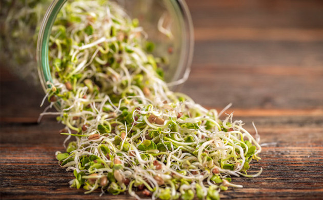 Пророщенные семена