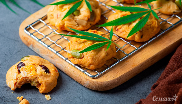 Празднуем день печенья с Семянычем