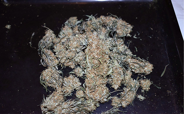 Завершение цветения и урожай