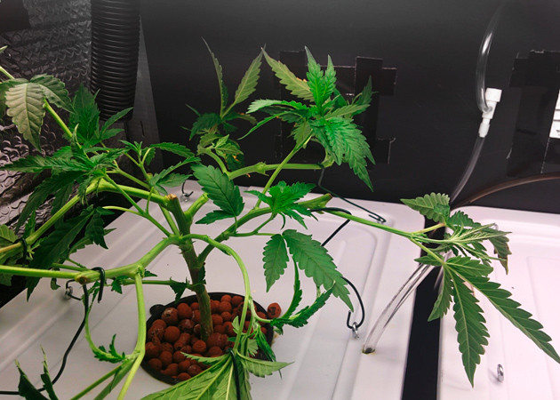 Использование метода LST