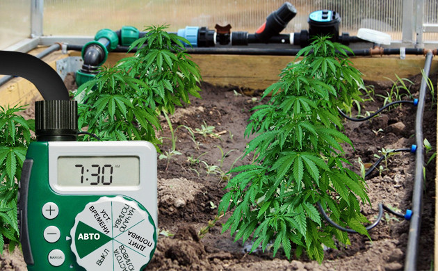 Автополив с таймером