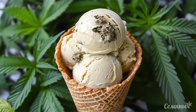 Канна-кухня: мороженое в рожке из печенья с коноплей