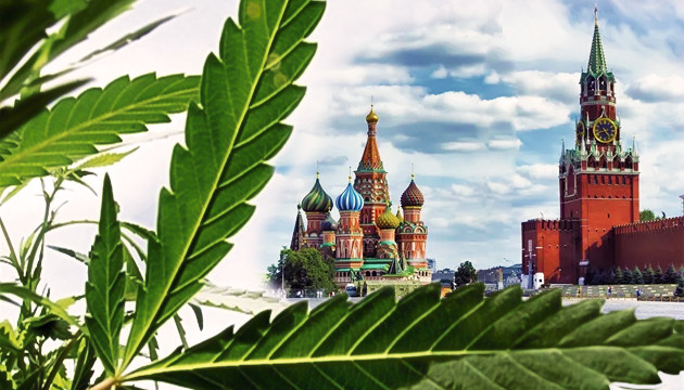 Марихуана в России